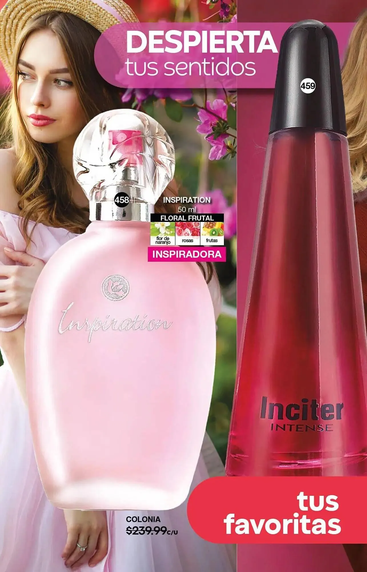 Catálogo de Catálogo Fuller 9 de julio al 30 de julio 2025 - Pagina 148