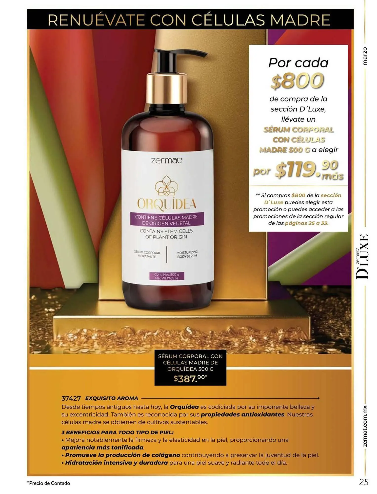 Catálogo de Catálogo Zermat 1 de marzo al 31 de marzo 2026 - Pagina 99