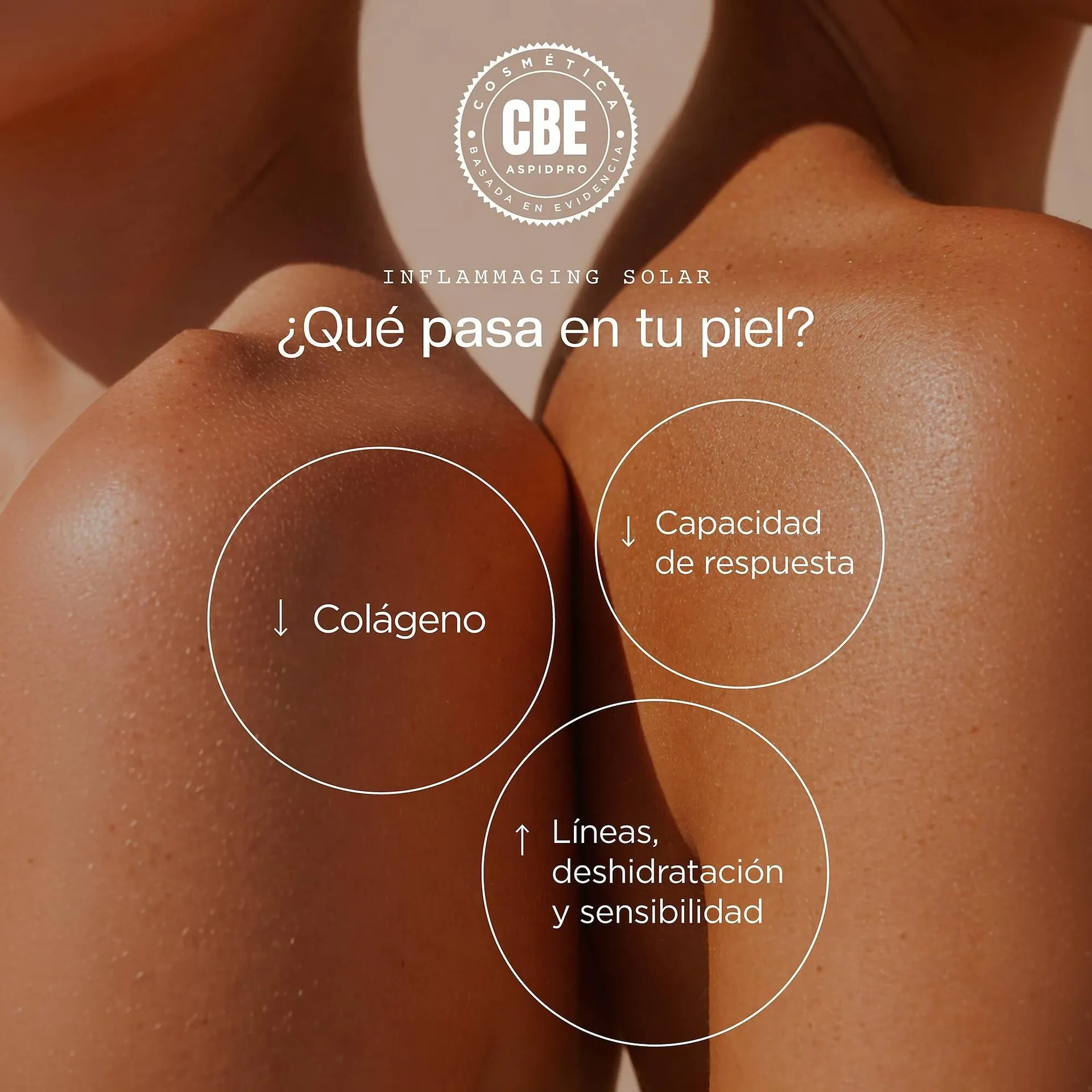 Catálogo de Catálogo AspidPro 1 de abril al 15 de abril 2026 - Pagina 3