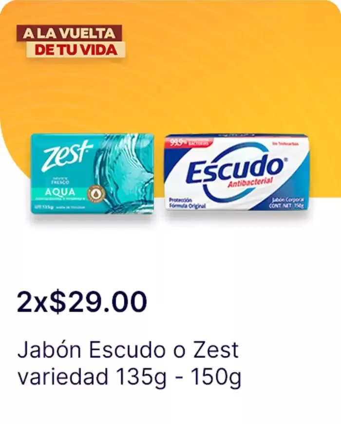 Catálogo de OXXO - A la Vuelta de tu Vida 5 de noviembre al 27 de noviembre 2024 - Pagina 19