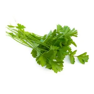 CILANTRO. 1 PZA.