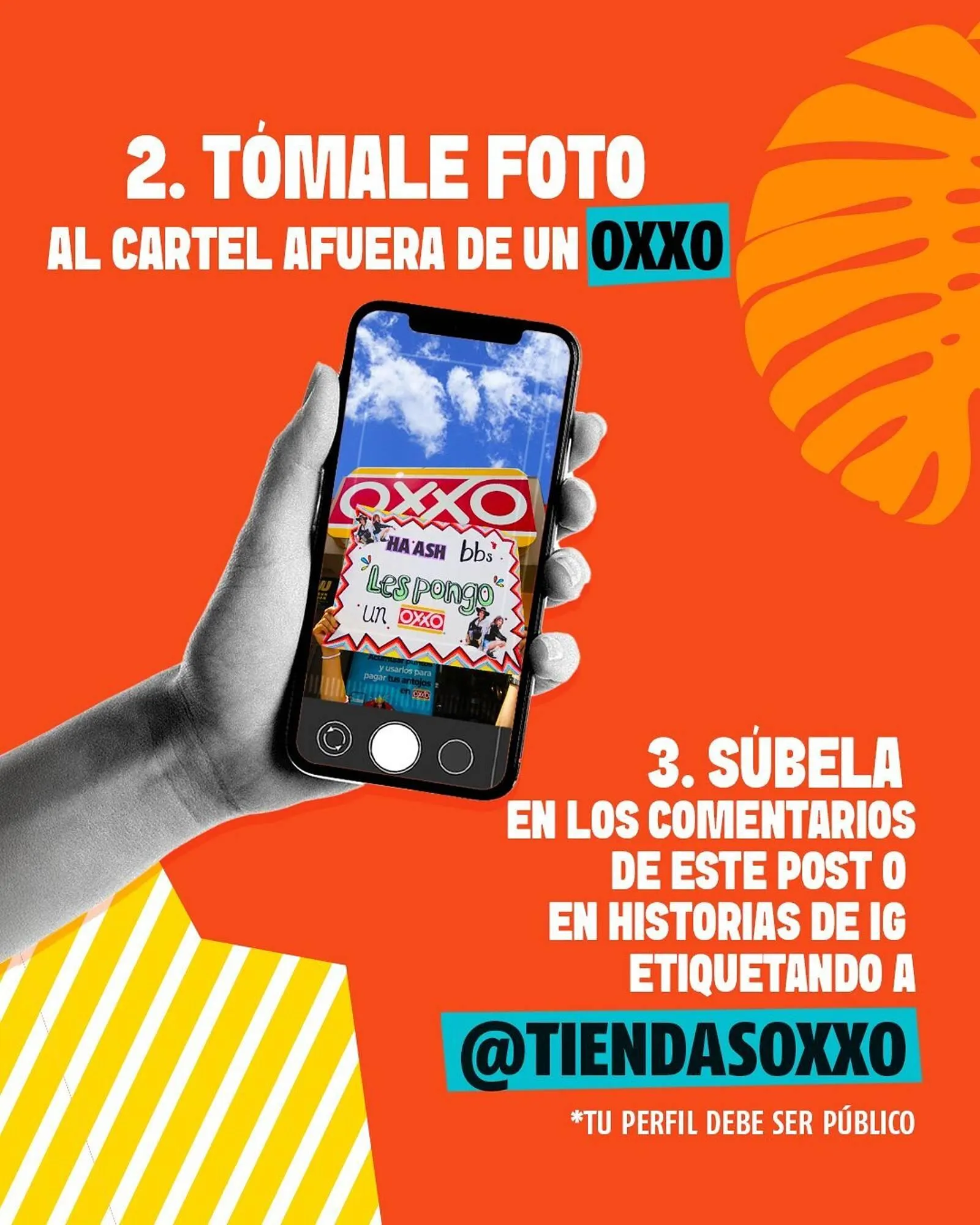 Catálogo de Catálogo OXXO 29 de julio al 11 de agosto 2025 - Pagina 3