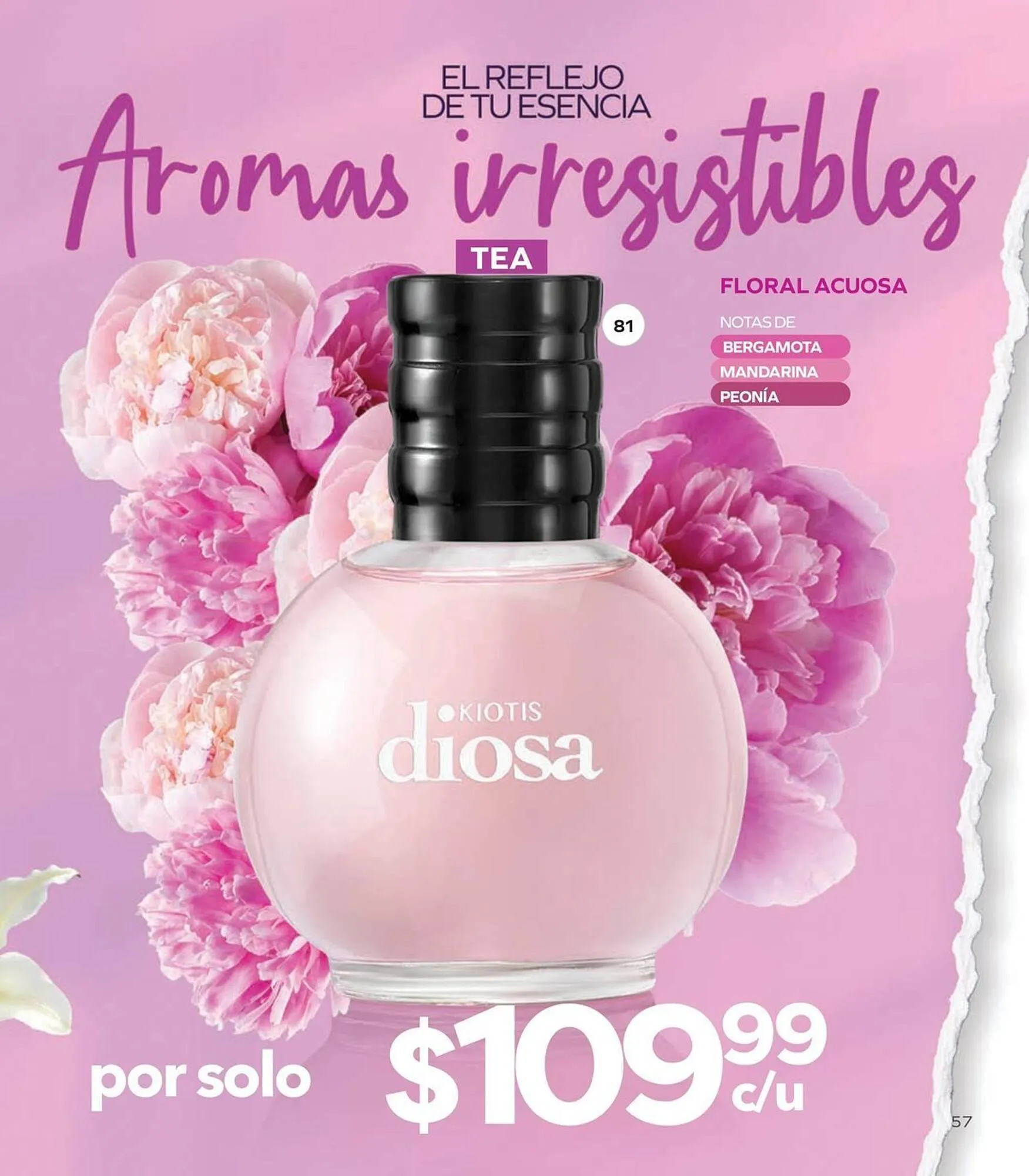 Catálogo de Catálogo Stanhome 6 de enero al 17 de enero 2026 - Pagina 61