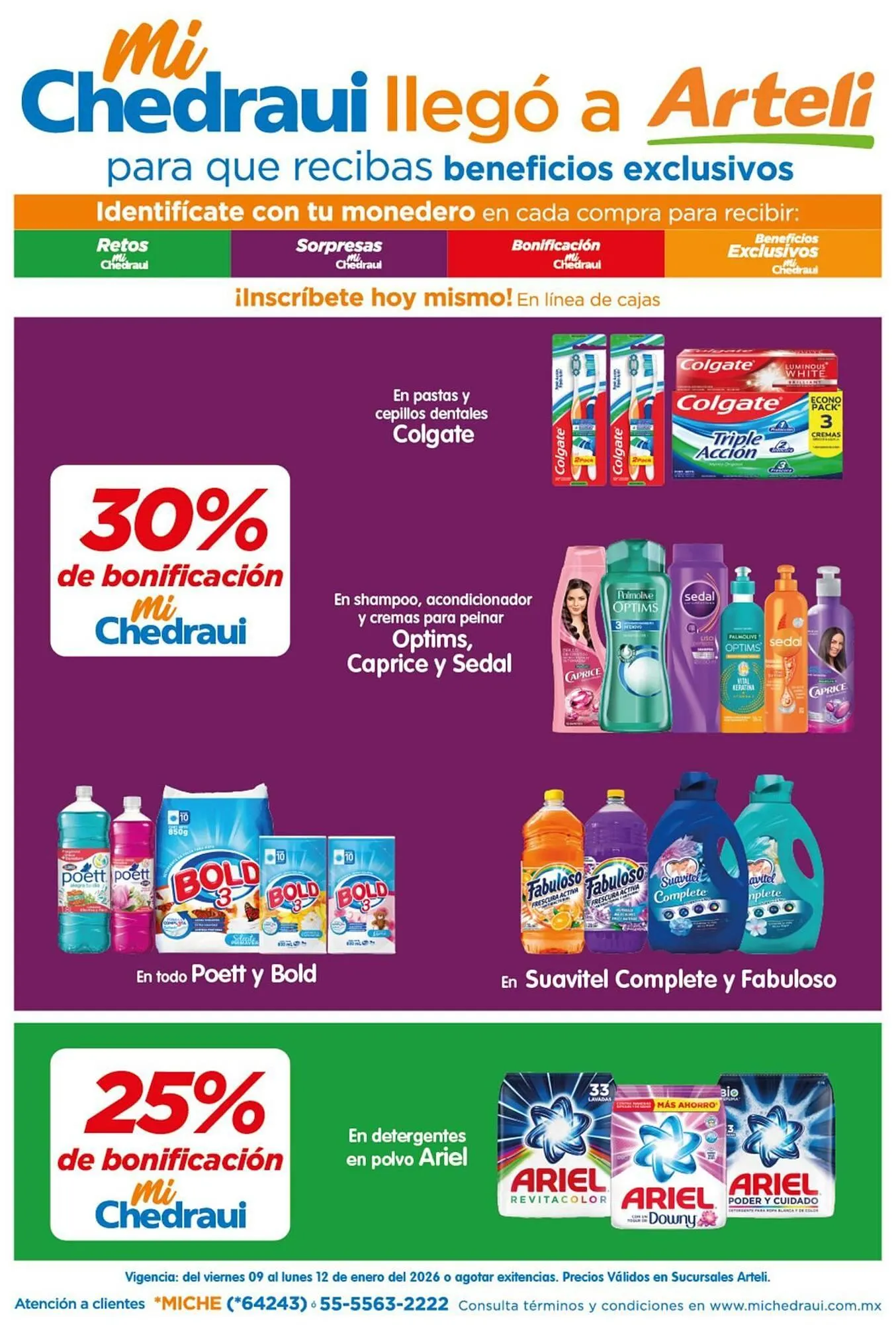 Catálogo de Folleto Arteli 9 de enero al 12 de enero 2026 - Pagina 1