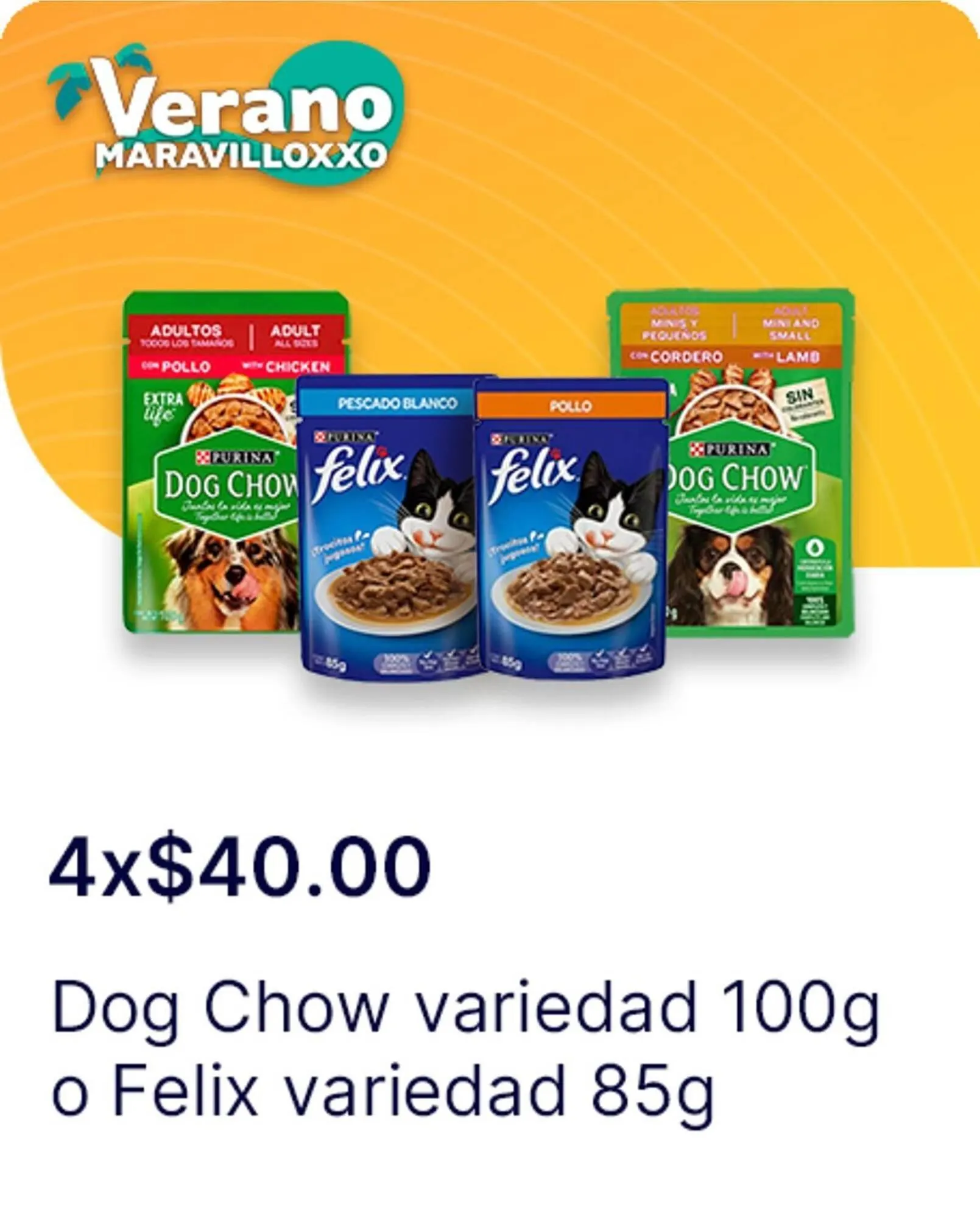 Catálogo de Catálogo OXXO 13 de junio al 16 de julio 2025 - Pagina 29