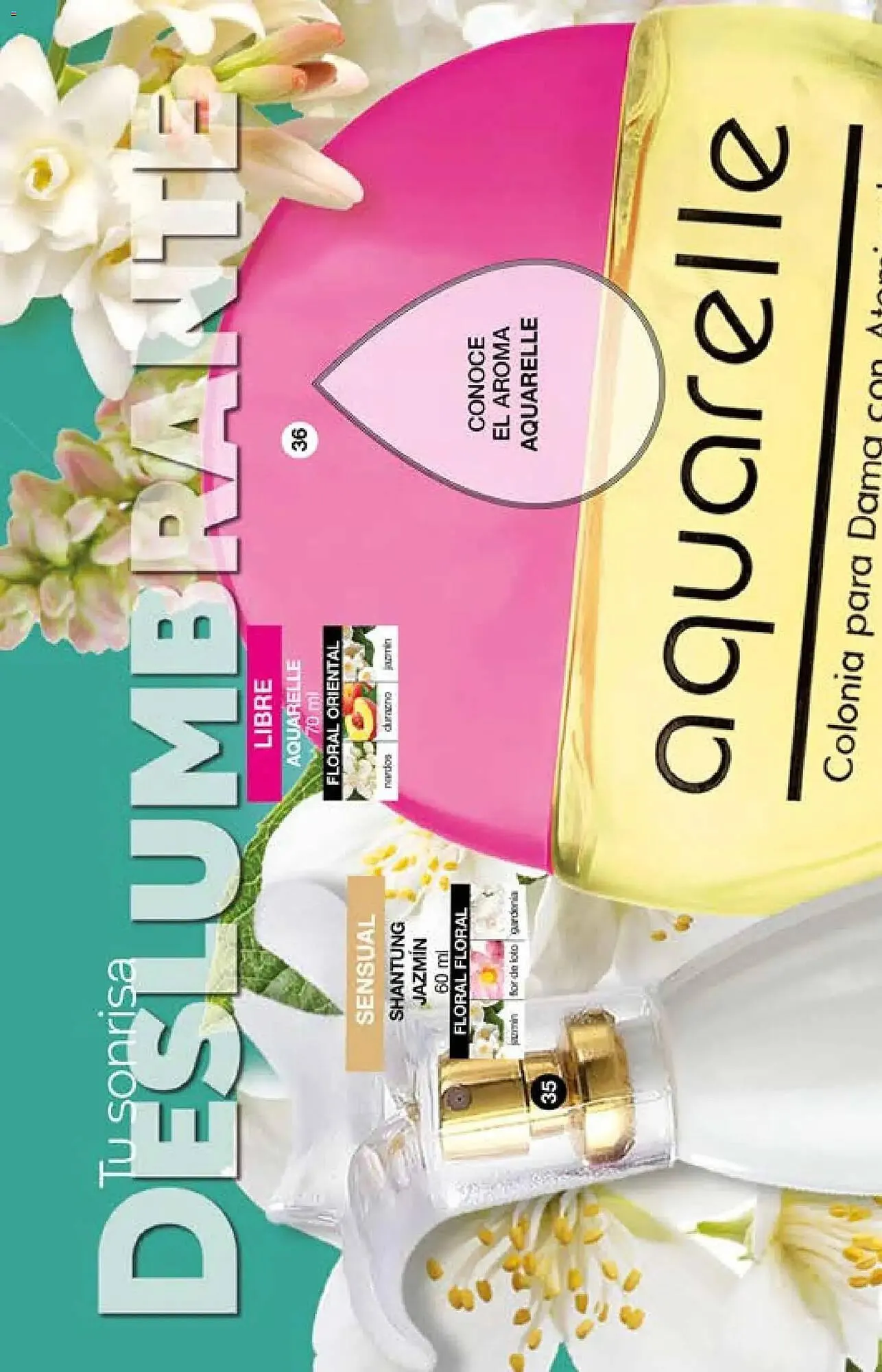 Catálogo de Catálogo Fuller 29 de abril al 20 de mayo 2026 - Pagina 22