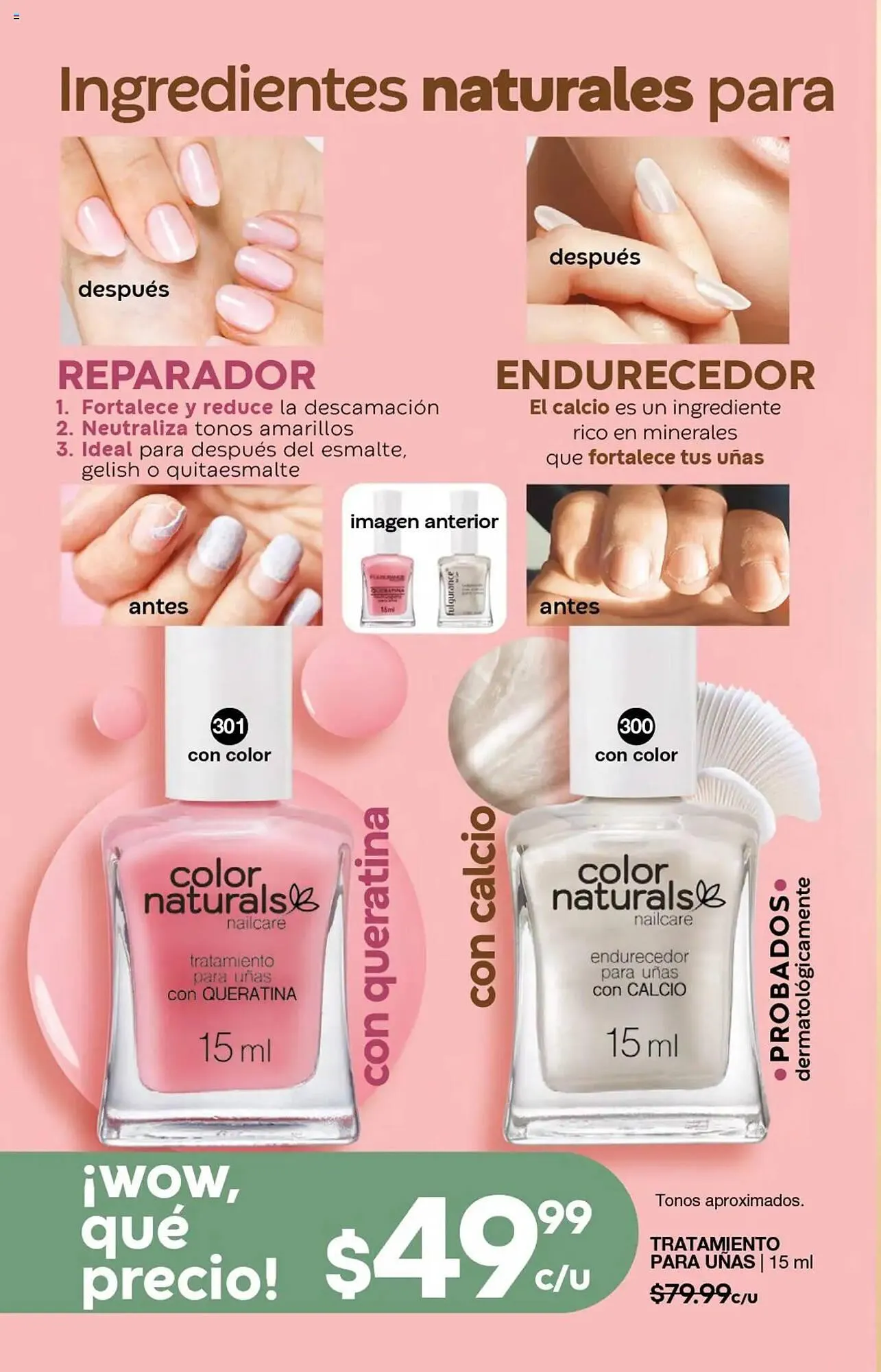 Catálogo de Catálogo Fuller 9 de julio al 30 de julio 2025 - Pagina 120