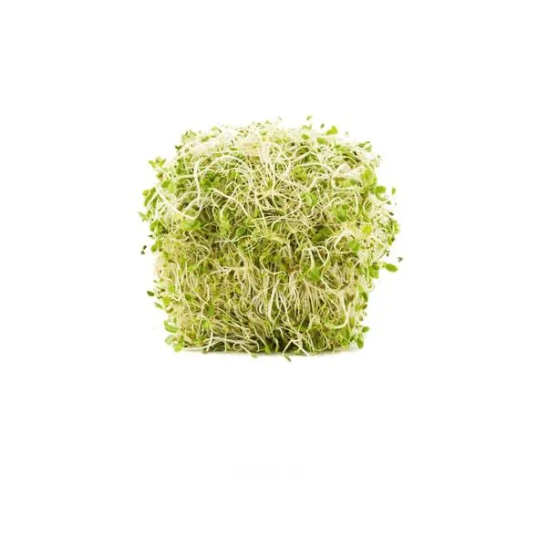 Germen alfalfa 200 g aproximado