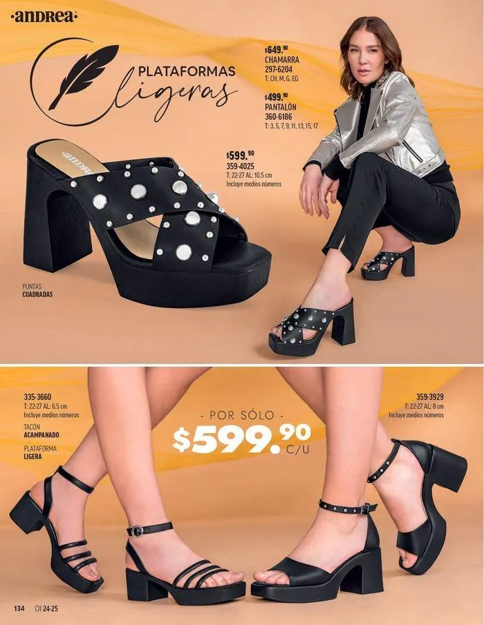 Catálogo de ANDREA - CALZADO DAMA 26 de agosto al 25 de enero 2025 - Pagina 38