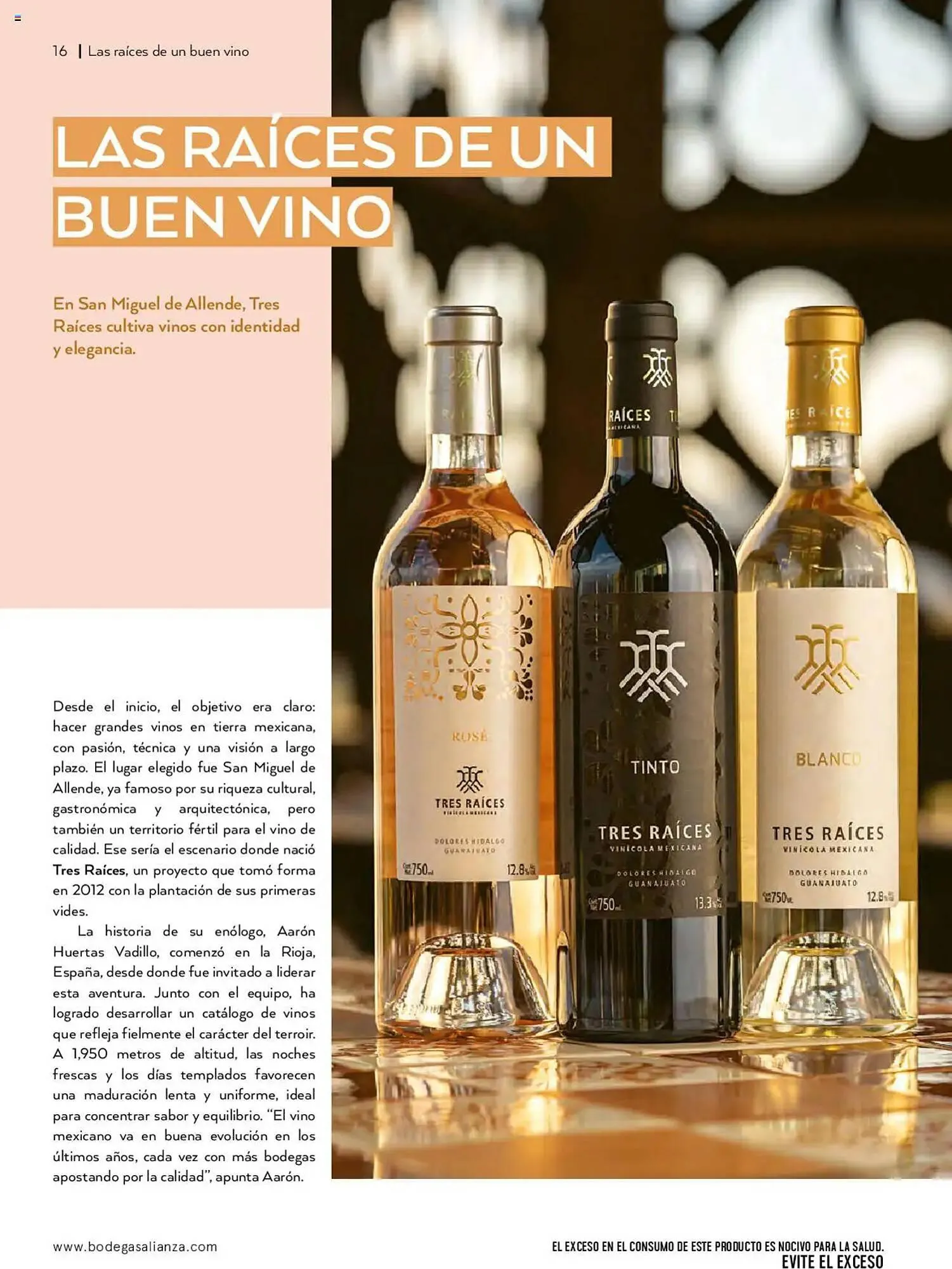 Catálogo de Catálogo Bodegas Alianza 1 de julio al 1 de octubre 2025 - Pagina 18