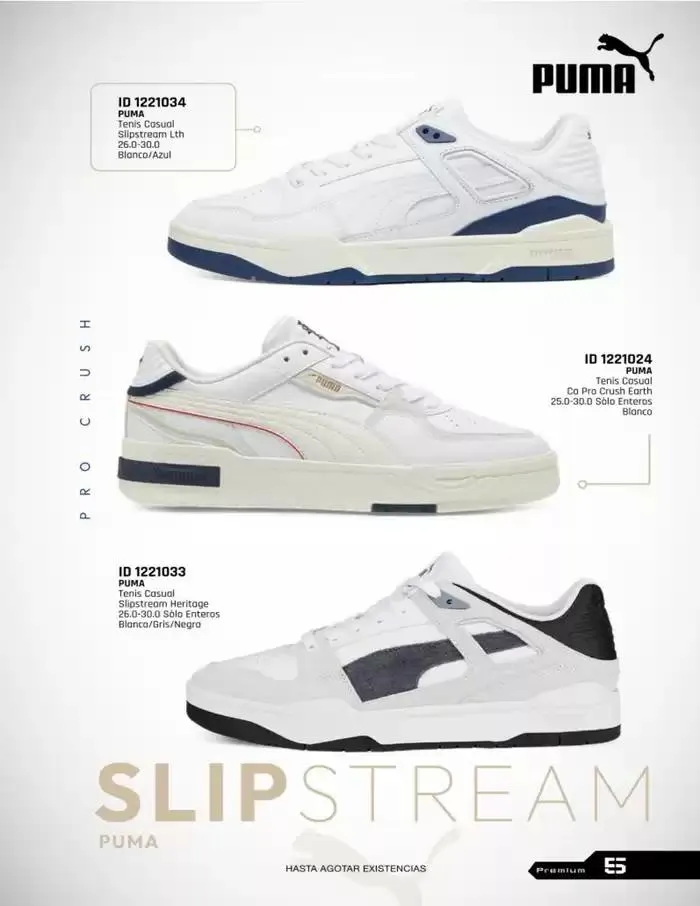 Catálogo de IMP PREMIUM  16 de diciembre al 16 de marzo 2025 - Pagina 5