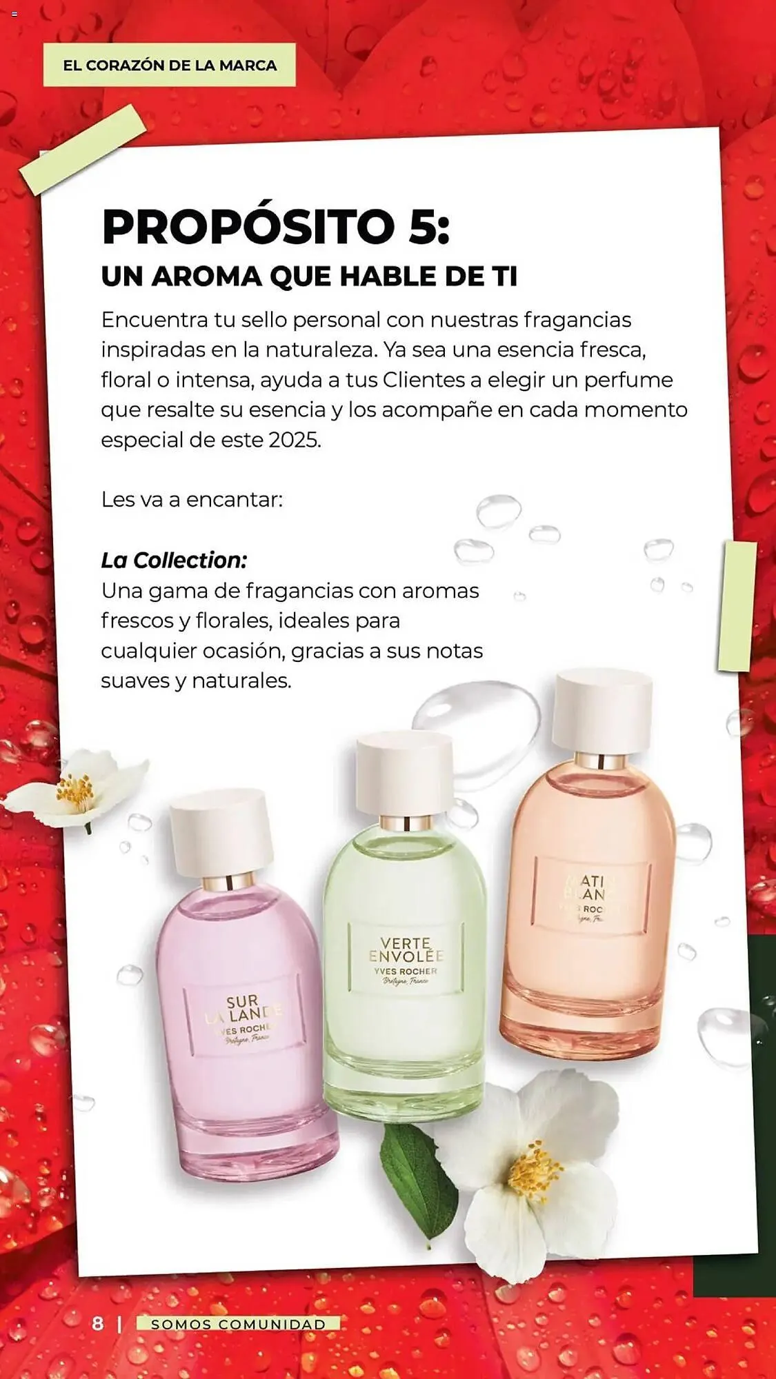 Catálogo de Catálogo Yves Rocher 31 de diciembre al 10 de febrero 2025 - Pagina 8