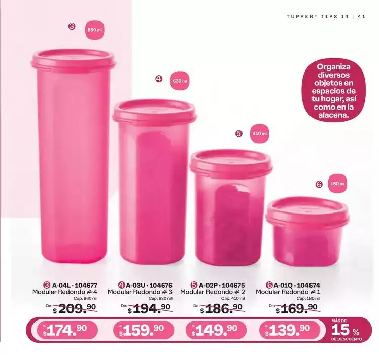 Catálogo de Tupper Tips 14 15 de octubre al 10 de noviembre 2024 - Pagina 41