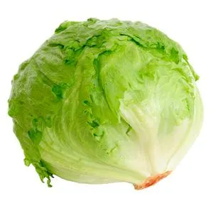 LECHUGA ROMANA 1 PZA.
