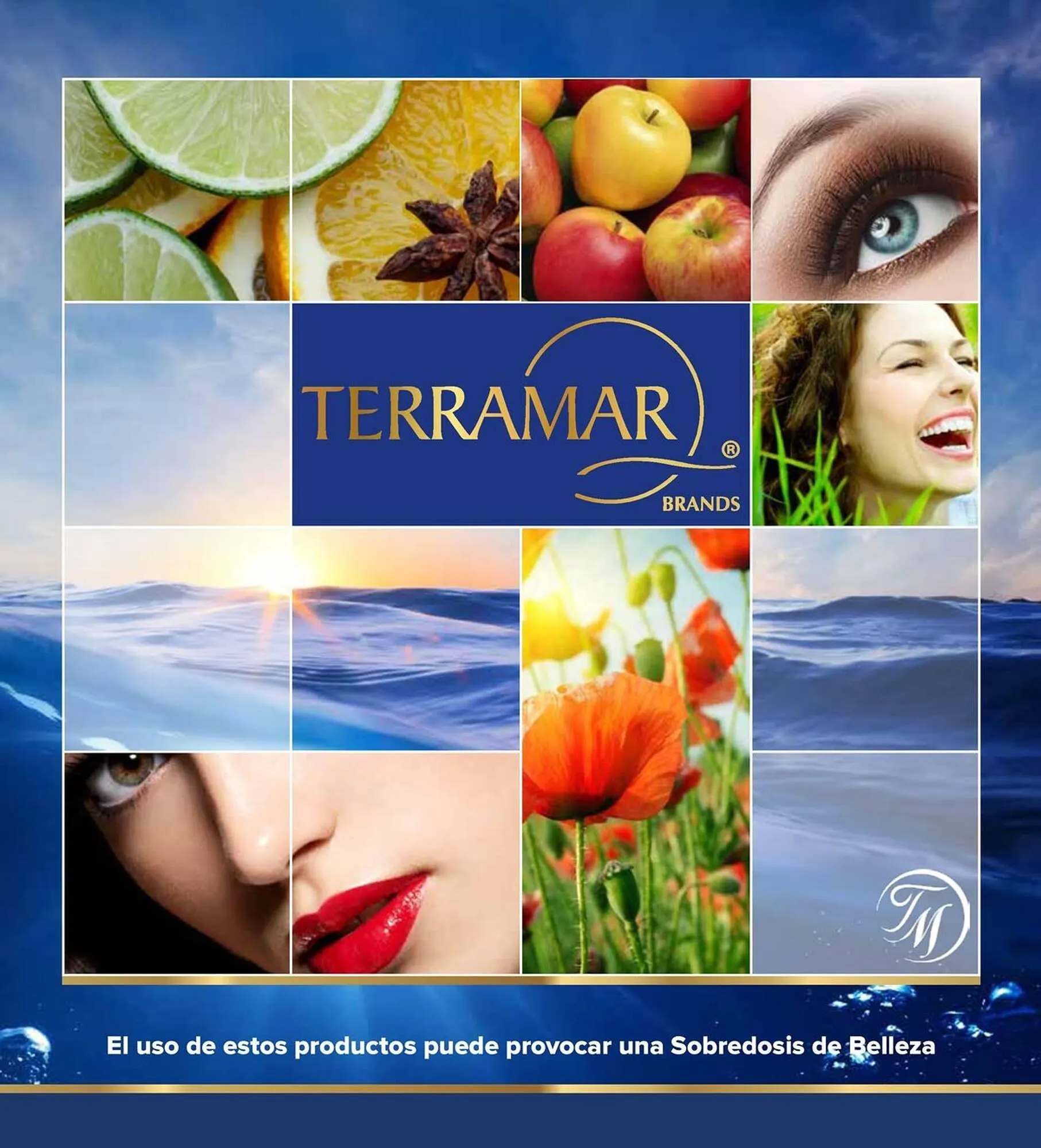 Catálogo Terramar Brands - 1