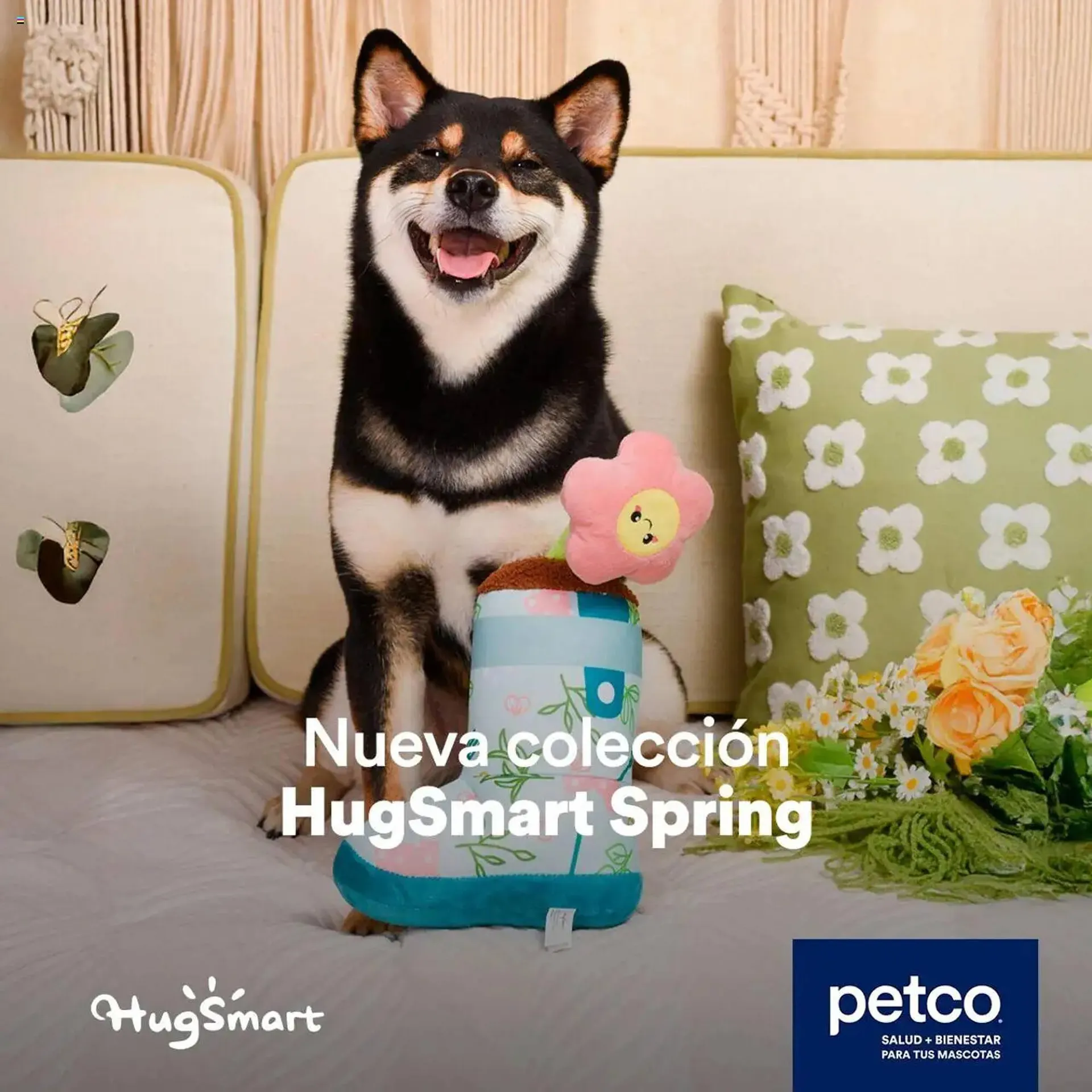 Catálogo Petco - 1