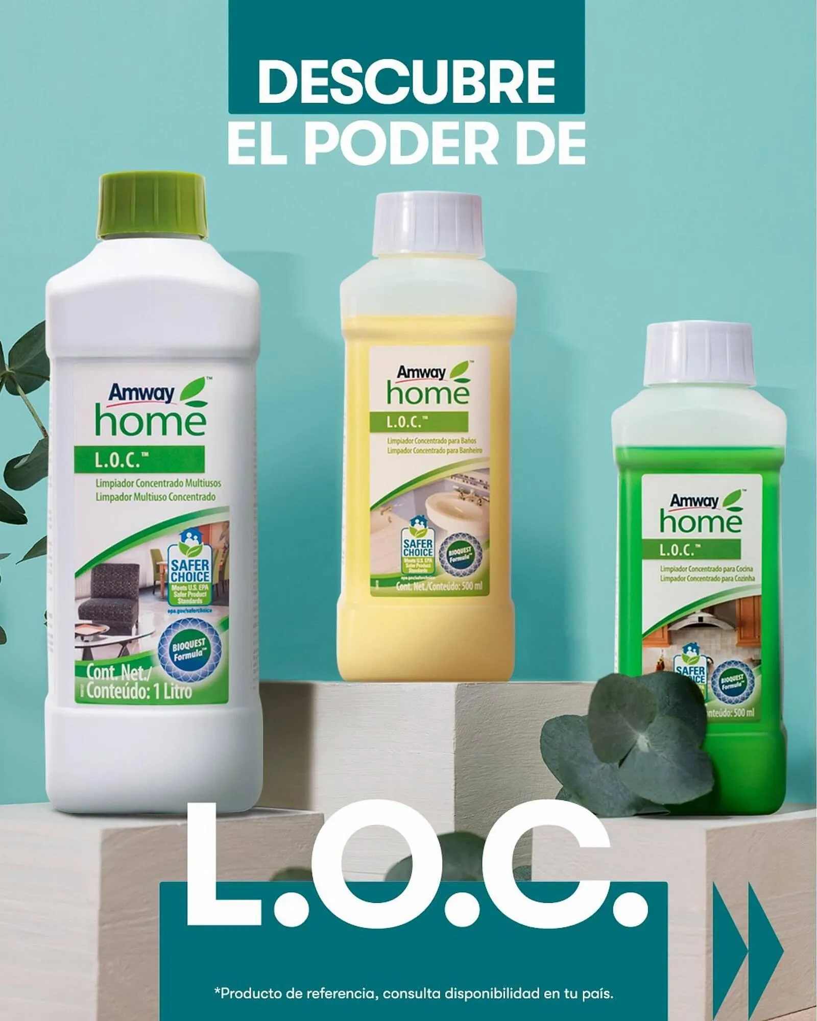 Catálogo Amway - 1