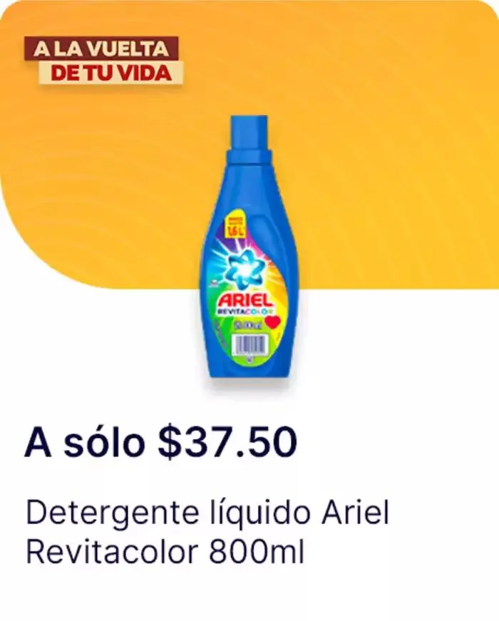 Catálogo de Ofertas principales para todos los cazadores de gangas 11 de diciembre al 25 de diciembre 2024 - Pagina 105
