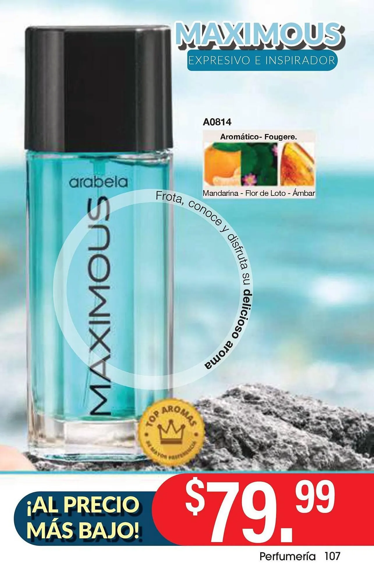 Catálogo de Catálogo Arabela 18 de diciembre al 8 de enero 2026 - Pagina 97