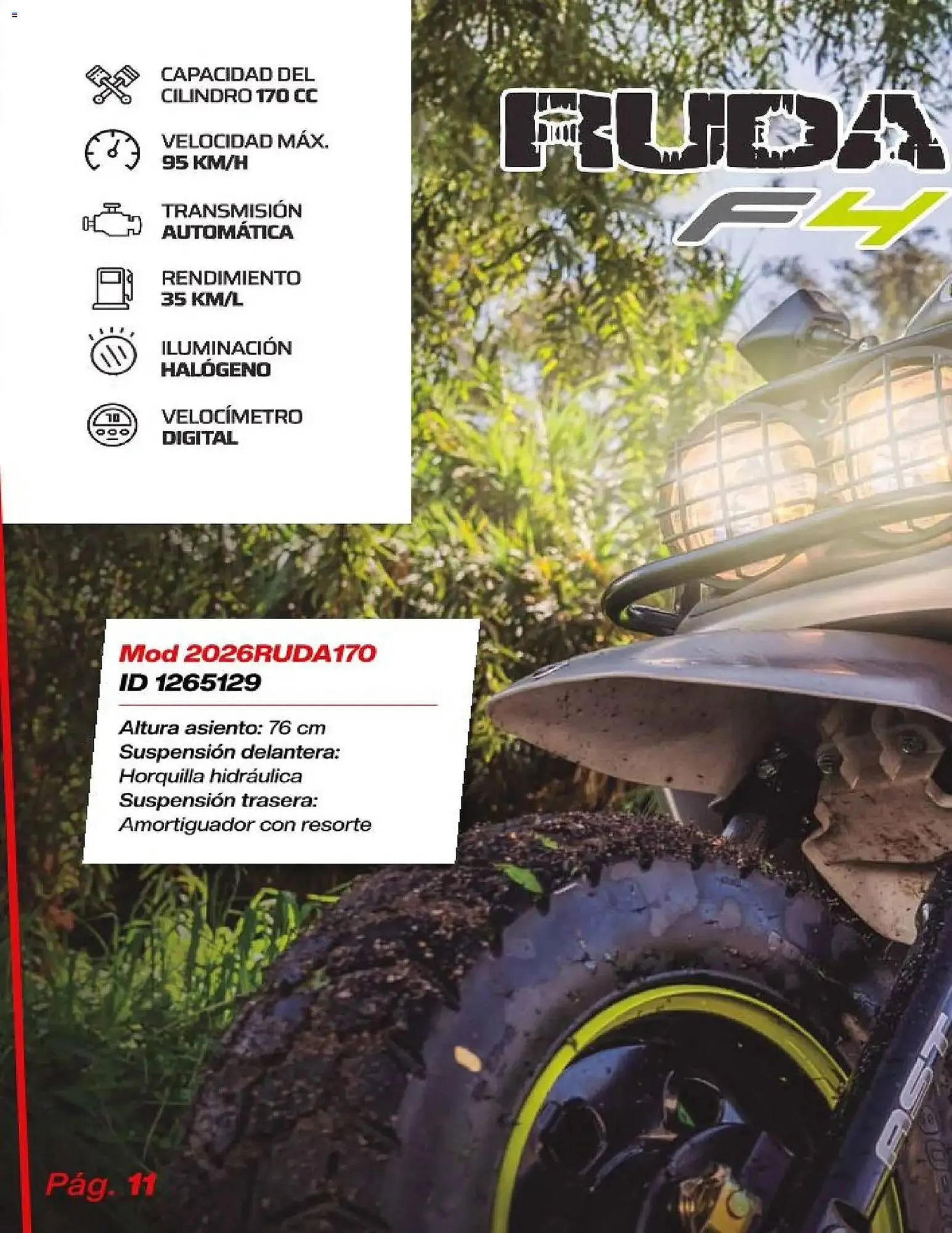 Catálogo de Catálogo Price Shoes 21 de noviembre al 1 de marzo 2026 - Pagina 11