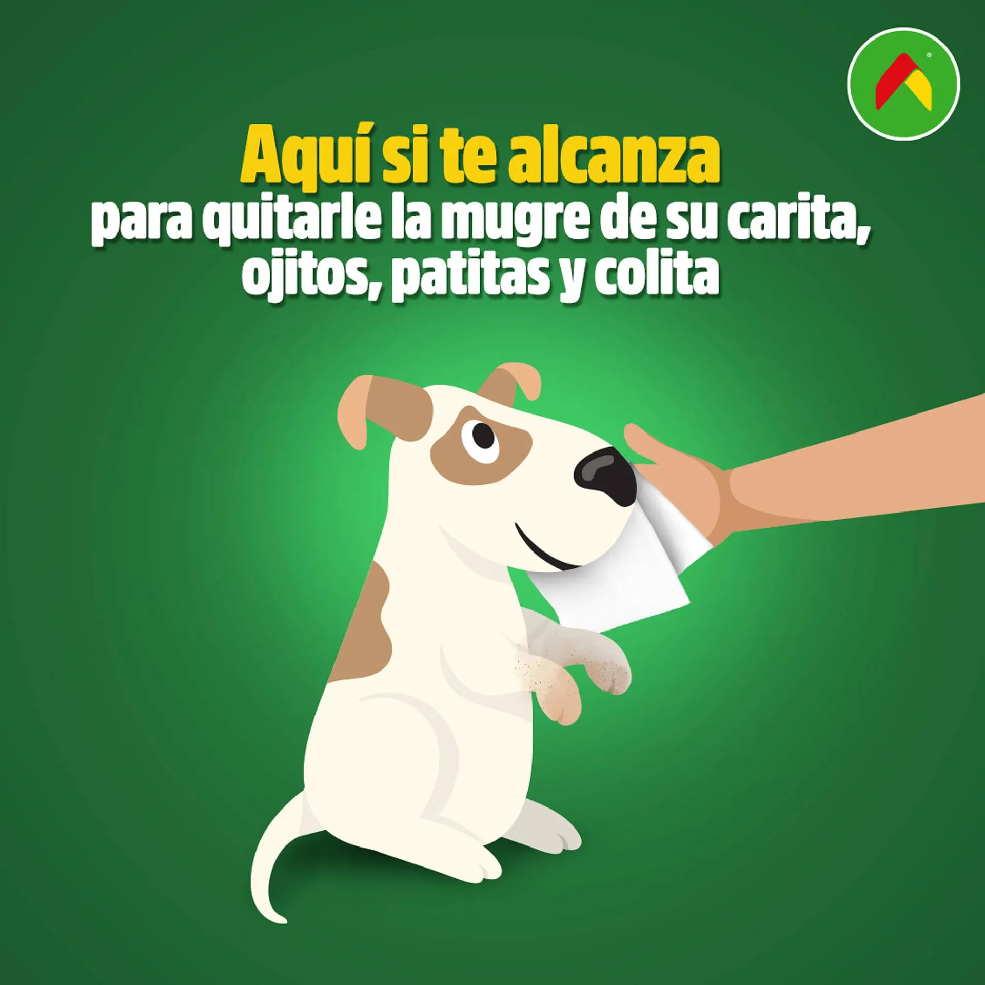 Catálogo de Catálogo Bodega Aurrerá 7 de julio al 13 de julio 2025 - Pagina 2