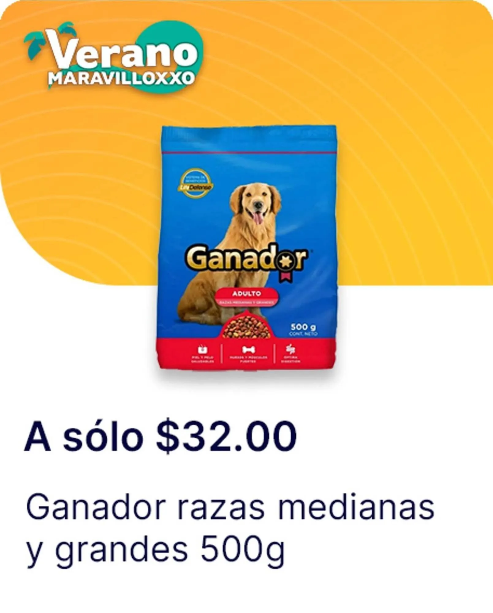 Catálogo de Catálogo OXXO 13 de junio al 16 de julio 2025 - Pagina 44