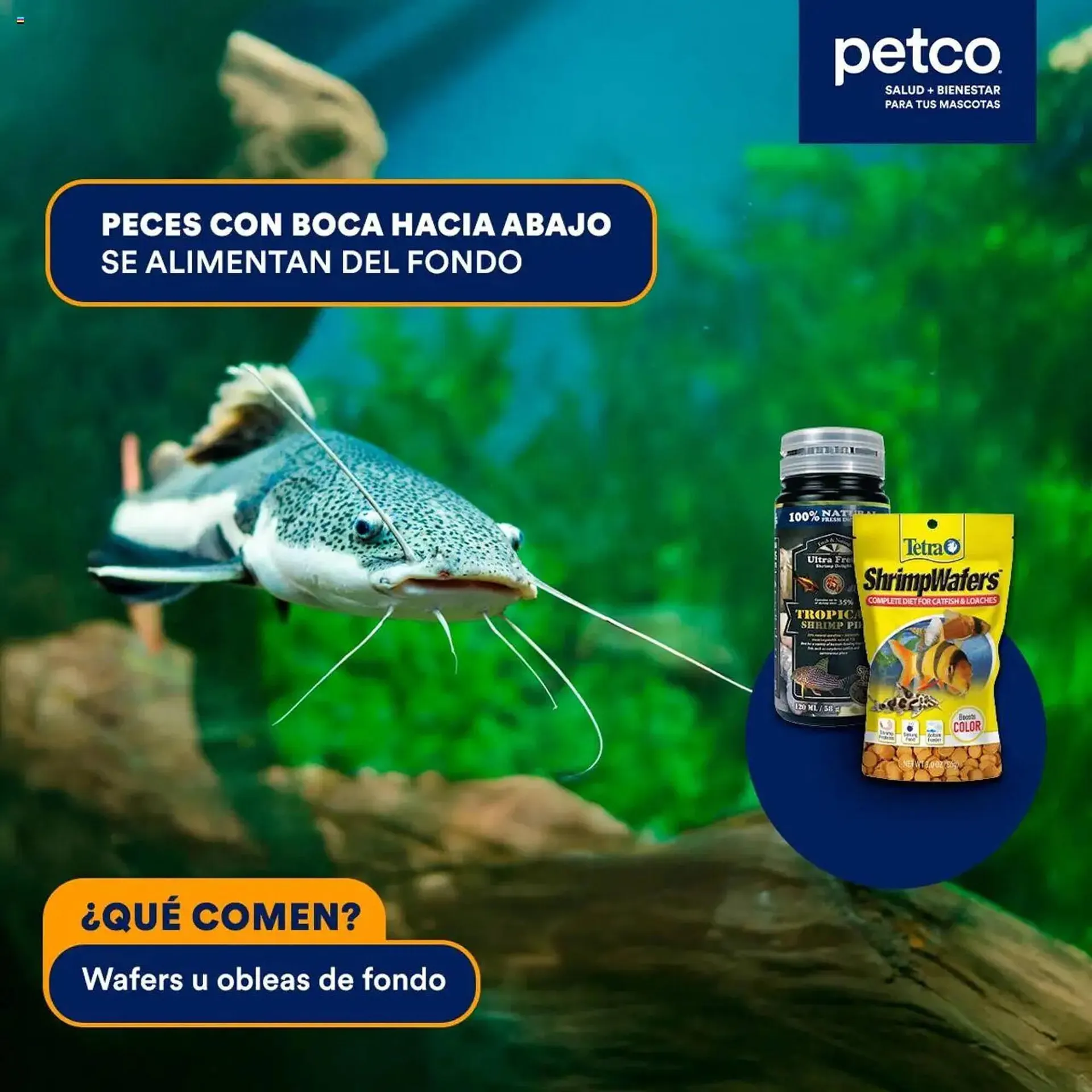 Catálogo de Catálogo Petco 30 de mayo al 14 de junio 2025 - Pagina 4