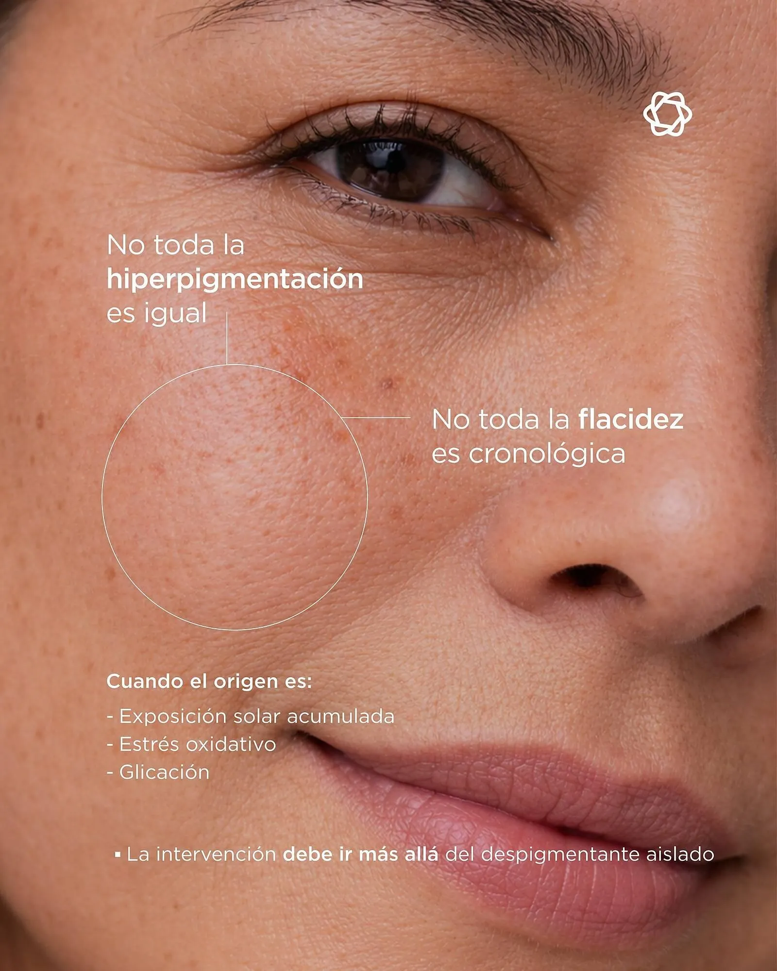 Catálogo de Catálogo AspidPro 6 de marzo al 31 de marzo 2026 - Pagina 2