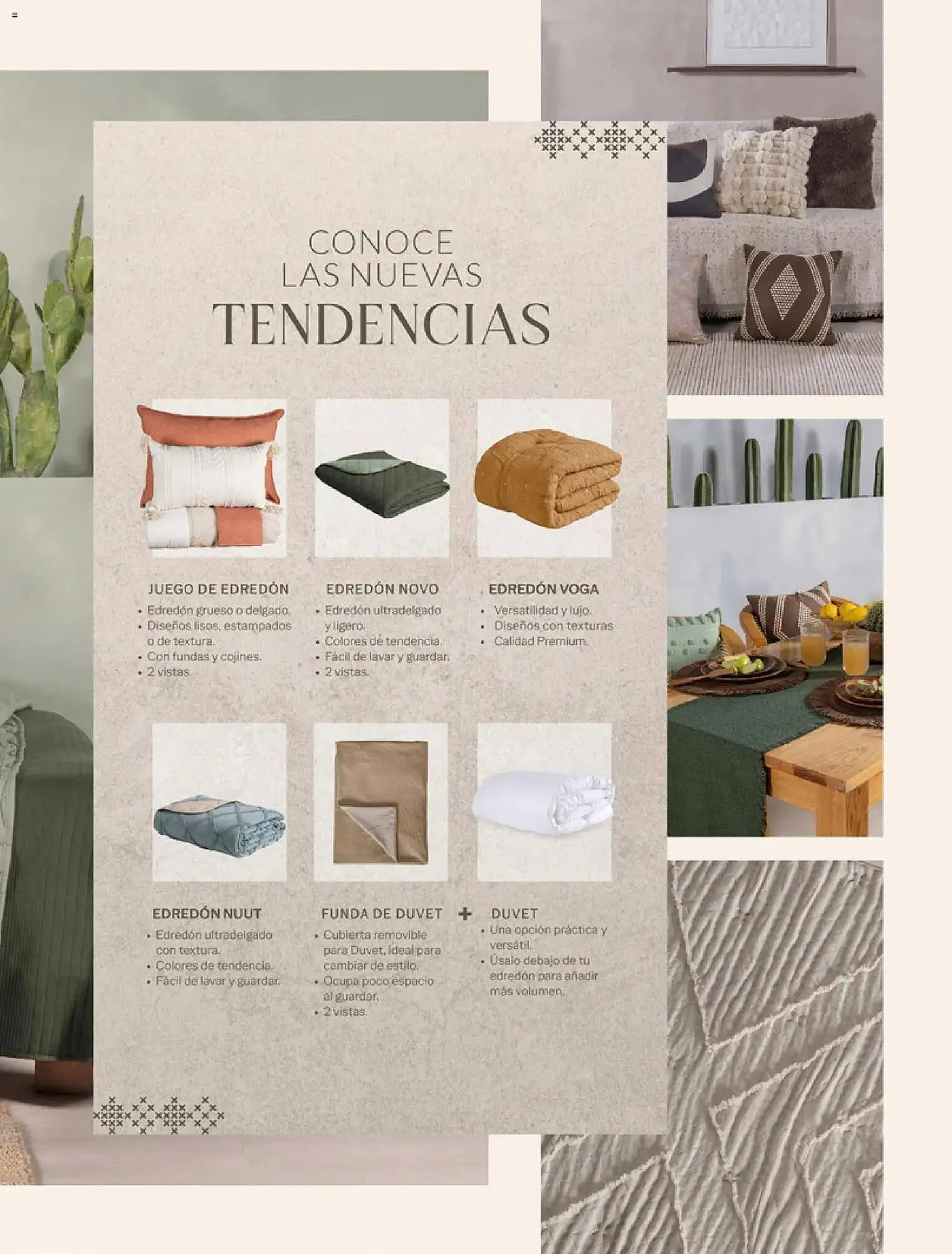 Catálogo de Catálogo Vianney 6 de marzo al 1 de julio 2027 - Pagina 5