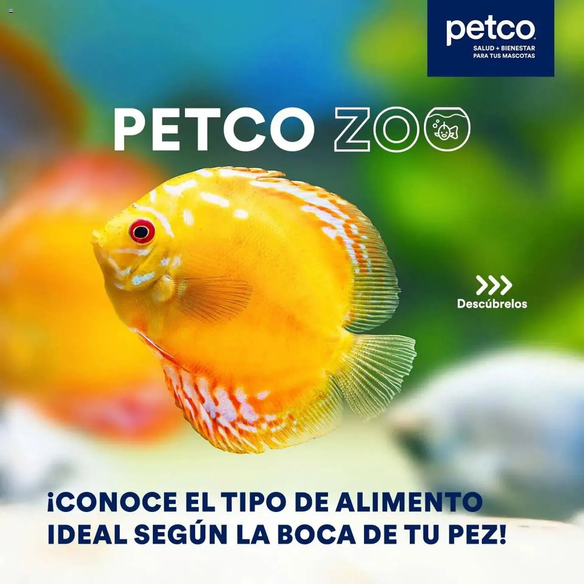 Catálogo Petco - 1