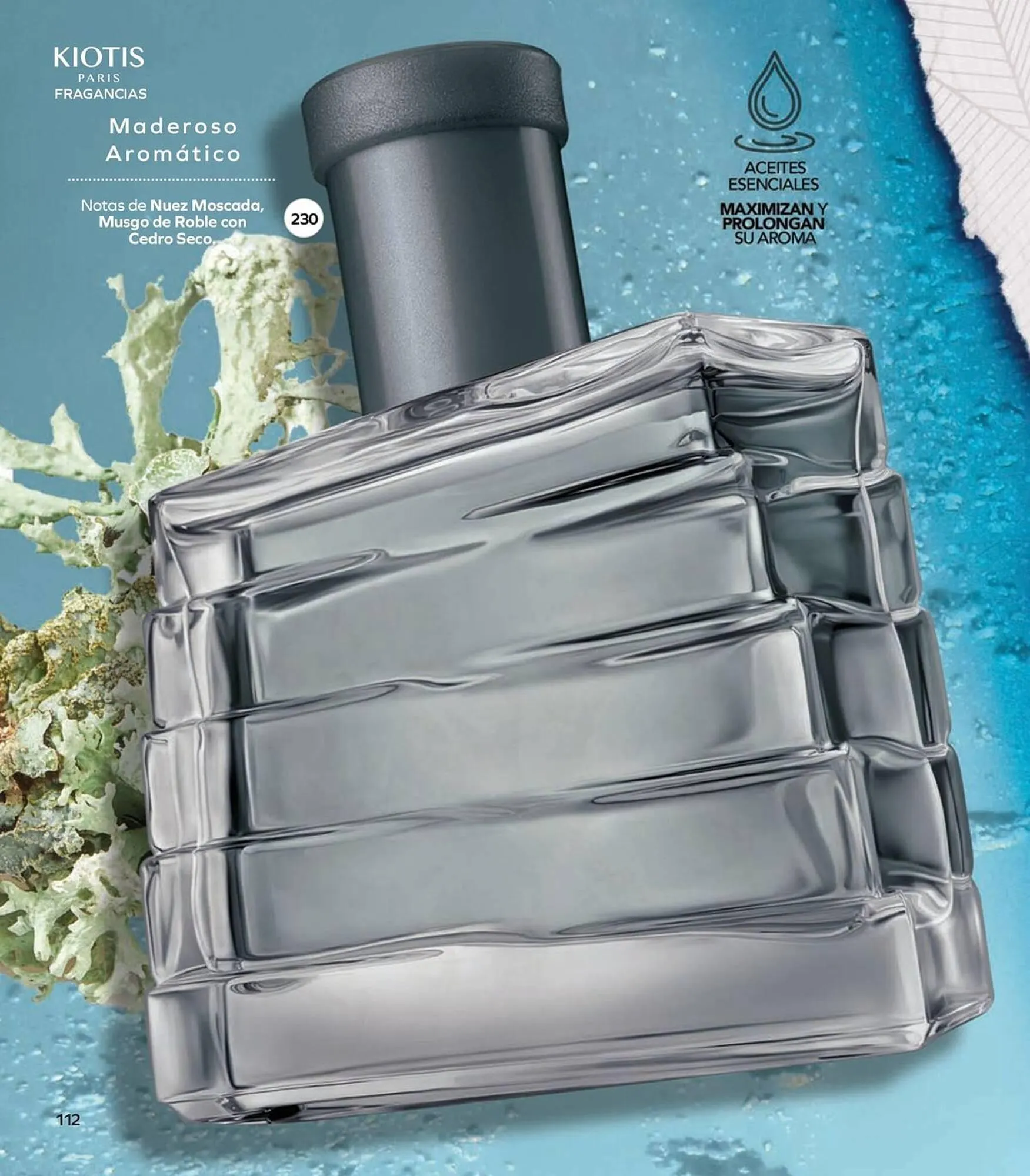 Catálogo de Catálogo Stanhome 17 de diciembre al 3 de enero 2026 - Pagina 114