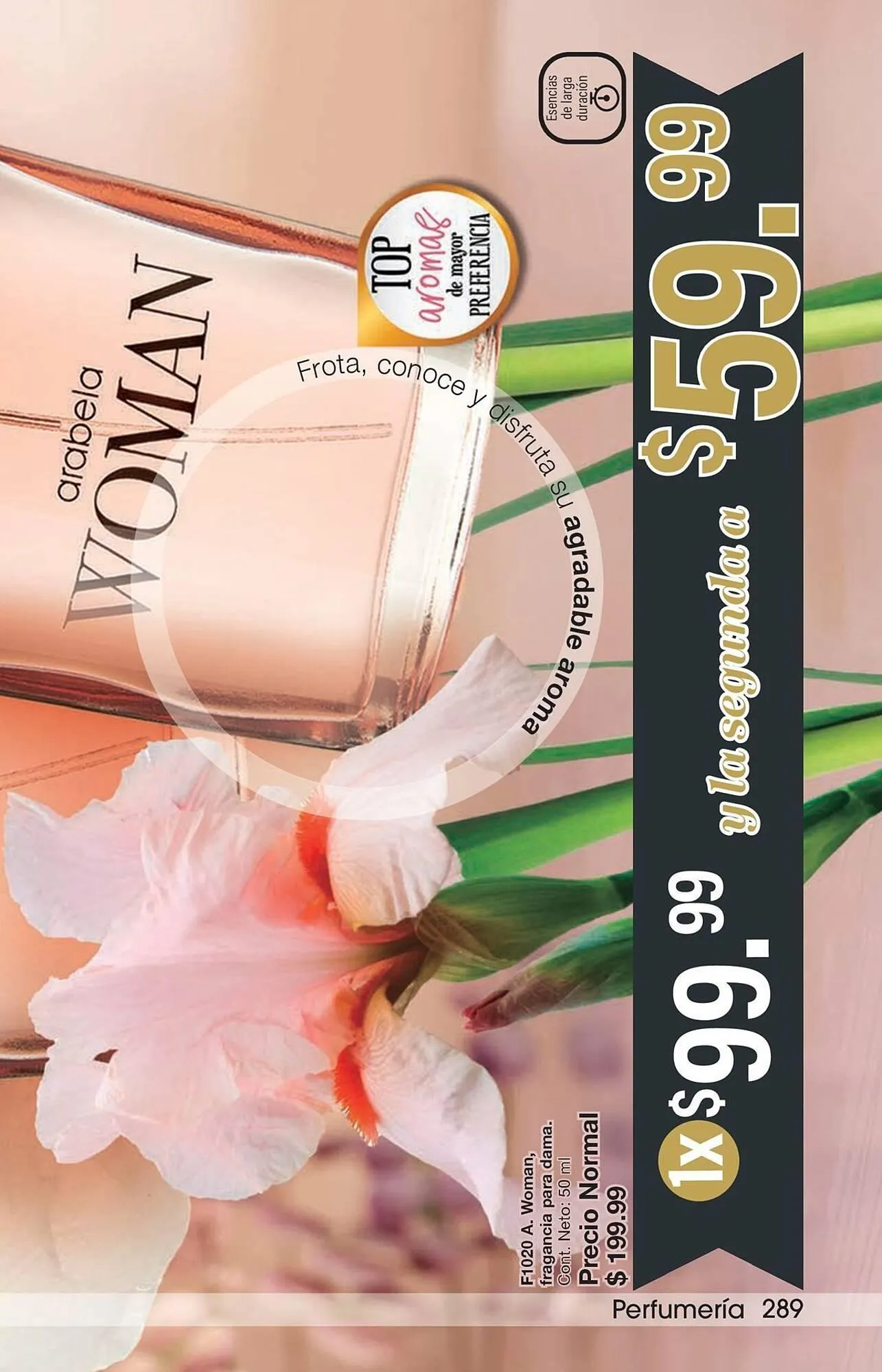 Catálogo de Catálogo Arabela 4 de diciembre al 25 de diciembre 2025 - Pagina 257