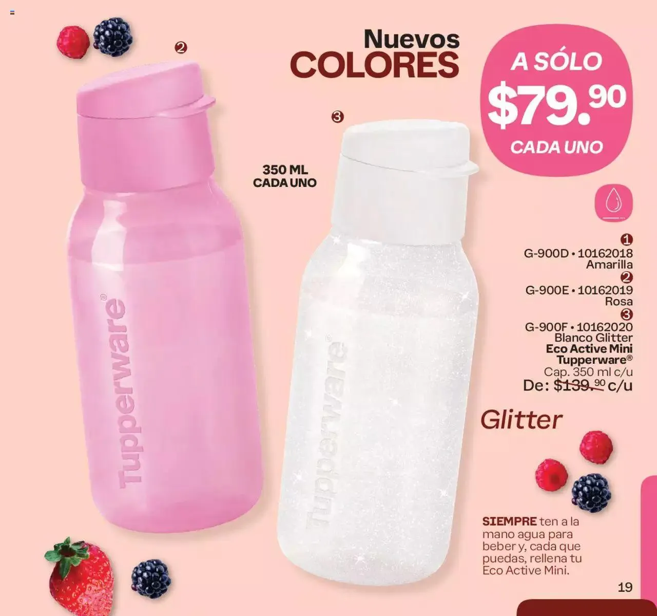 Catálogo de Tupperware catálogo 1 de enero al 21 de enero 2024 - Pagina 19