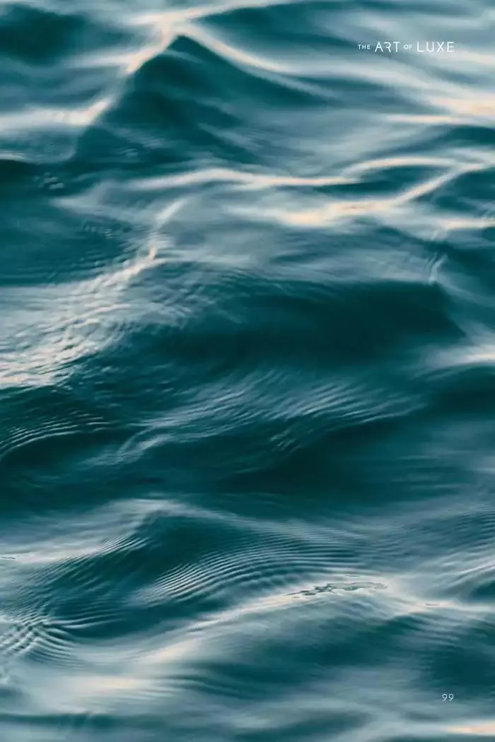 Catálogo de The Art of Luxe 14 de noviembre al 30 de junio 2025 - Pagina 101