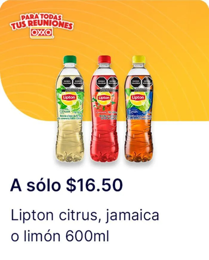 Catálogo de Ofertas OXXO 12 de septiembre al 9 de octubre 2024 - Pagina 81