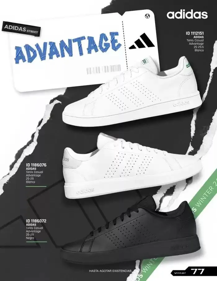 Catálogo de IMPORTADOS WINTER 11 de noviembre al 31 de enero 2025 - Pagina 77