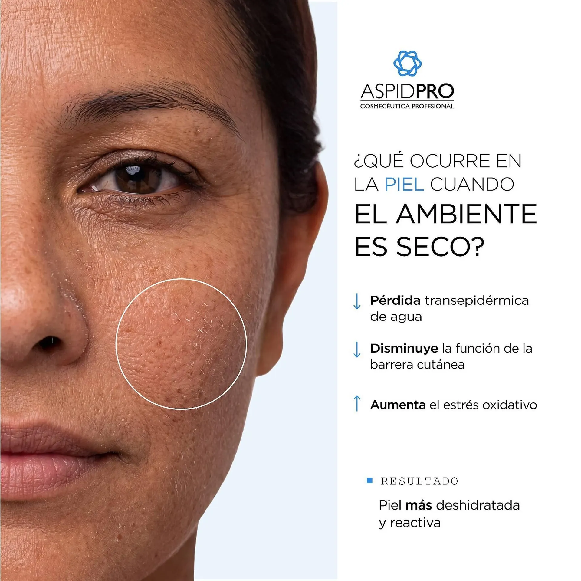 Catálogo de Catálogo AspidPro 30 de marzo al 5 de abril 2026 - Pagina 2