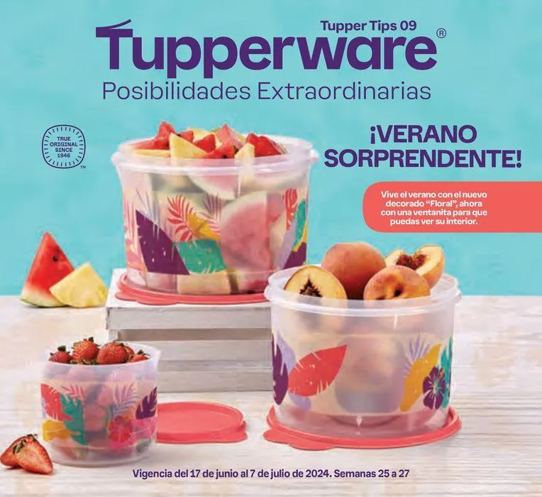 Catálogo de Tupper Tips 09 19 de junio al 7 de julio 2024 - Pagina 1