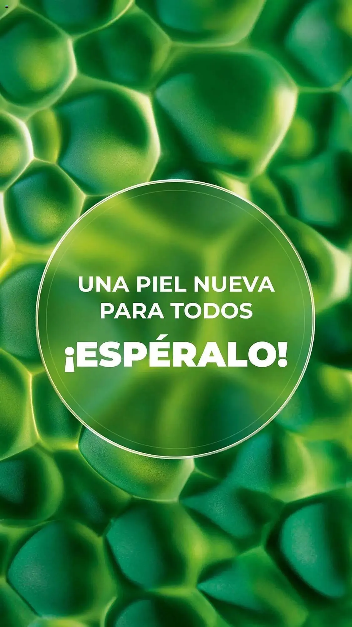 Catálogo de Catálogo Yves Rocher 31 de diciembre al 10 de febrero 2025 - Pagina 15