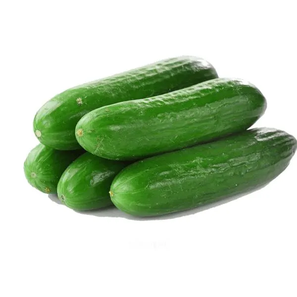 Pepino 1 kg aproximado