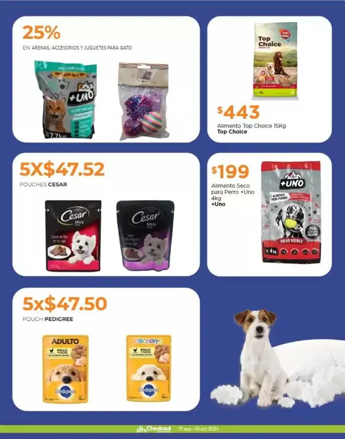 Catálogo de Llevarte más cuesta menos 18 de septiembre al 1 de octubre 2024 - Pagina 9