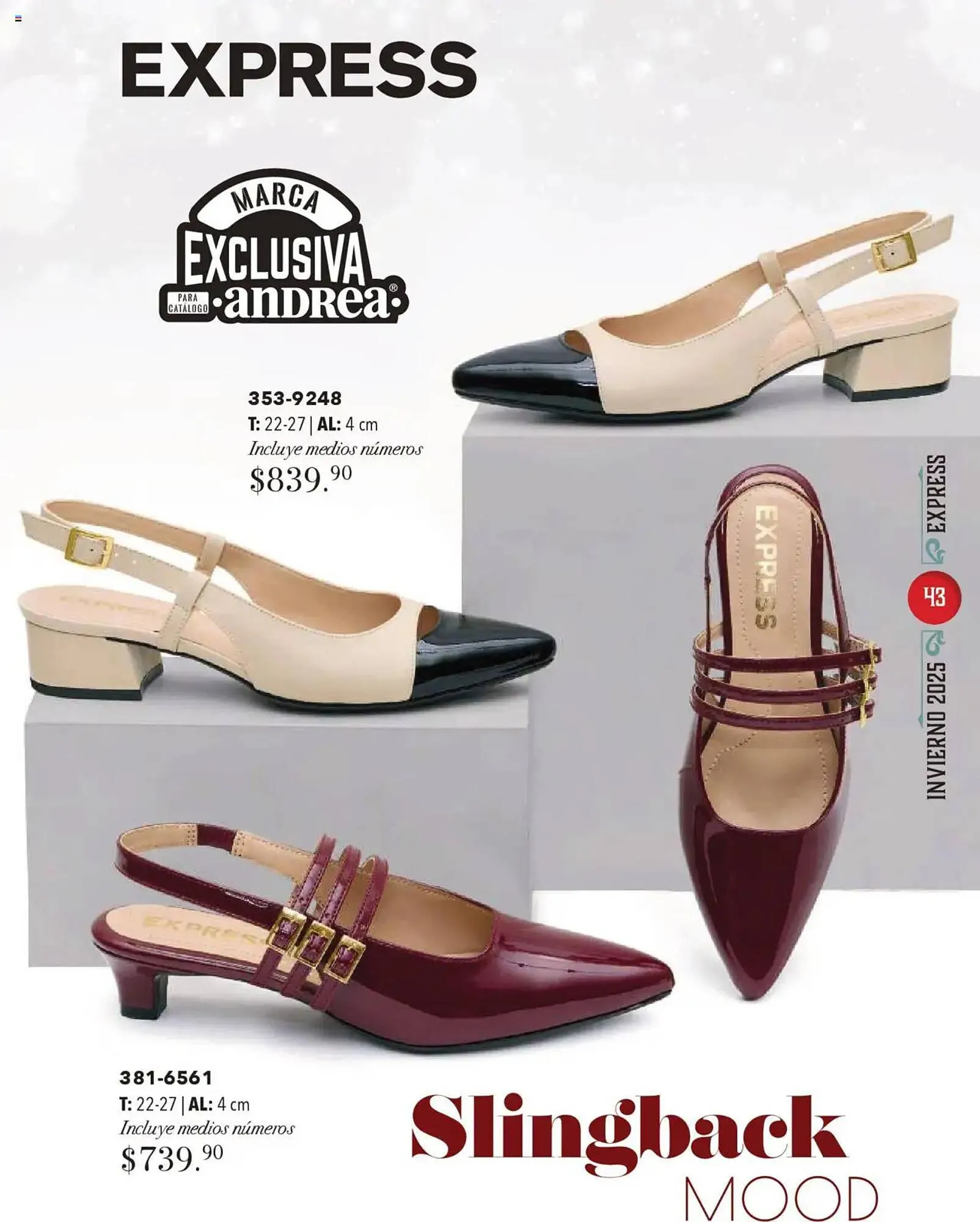 Catálogo de Catálogo Andrea 13 de octubre al 25 de enero 2026 - Pagina 43