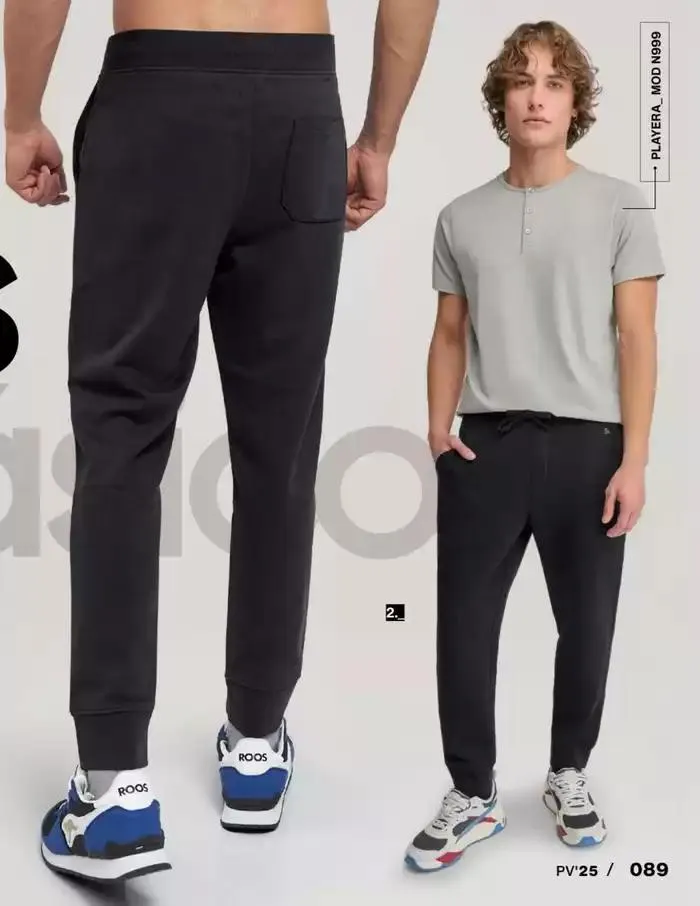 Catálogo de BASICOS | PRI-VER | 2025 | 1E 27 de enero al 30 de septiembre 2025 - Pagina 91