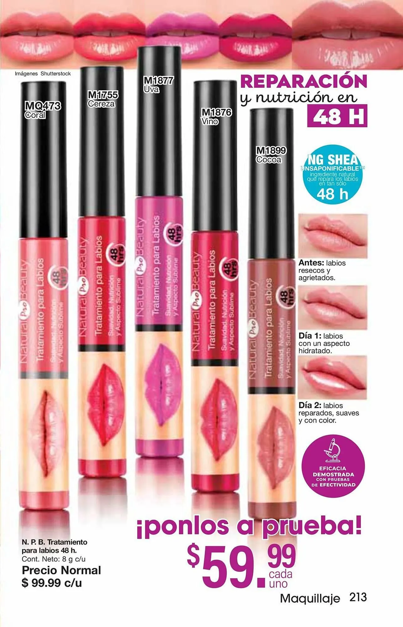 Catálogo de Catálogo Arabela 5 de junio al 26 de junio 2025 - Pagina 215