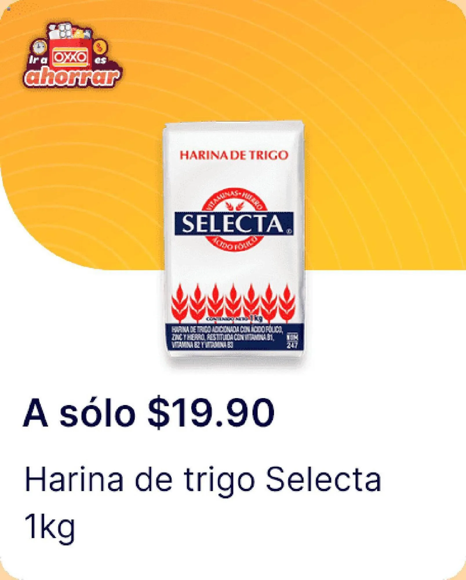 Catálogo de Catálogo OXXO 4 de enero al 24 de enero 2024 - Pagina 185