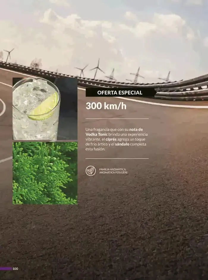 Catálogo de Avon COSMÉTICOS C6 6 de marzo al 9 de abril 2025 - Pagina 92