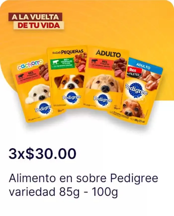 Catálogo de A la vuelta de tu vida 2 de diciembre al 1 de enero 2025 - Pagina 8