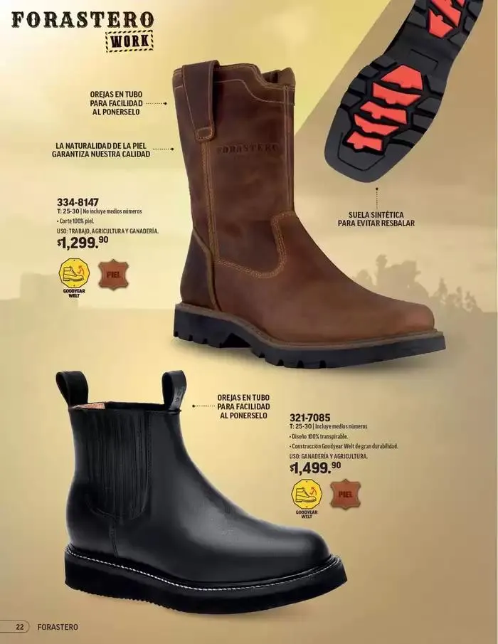 Catálogo de ANDREA | PROFESIONAL E INDUSTRIAL 26 de enero al 24 de mayo 2025 - Pagina 22