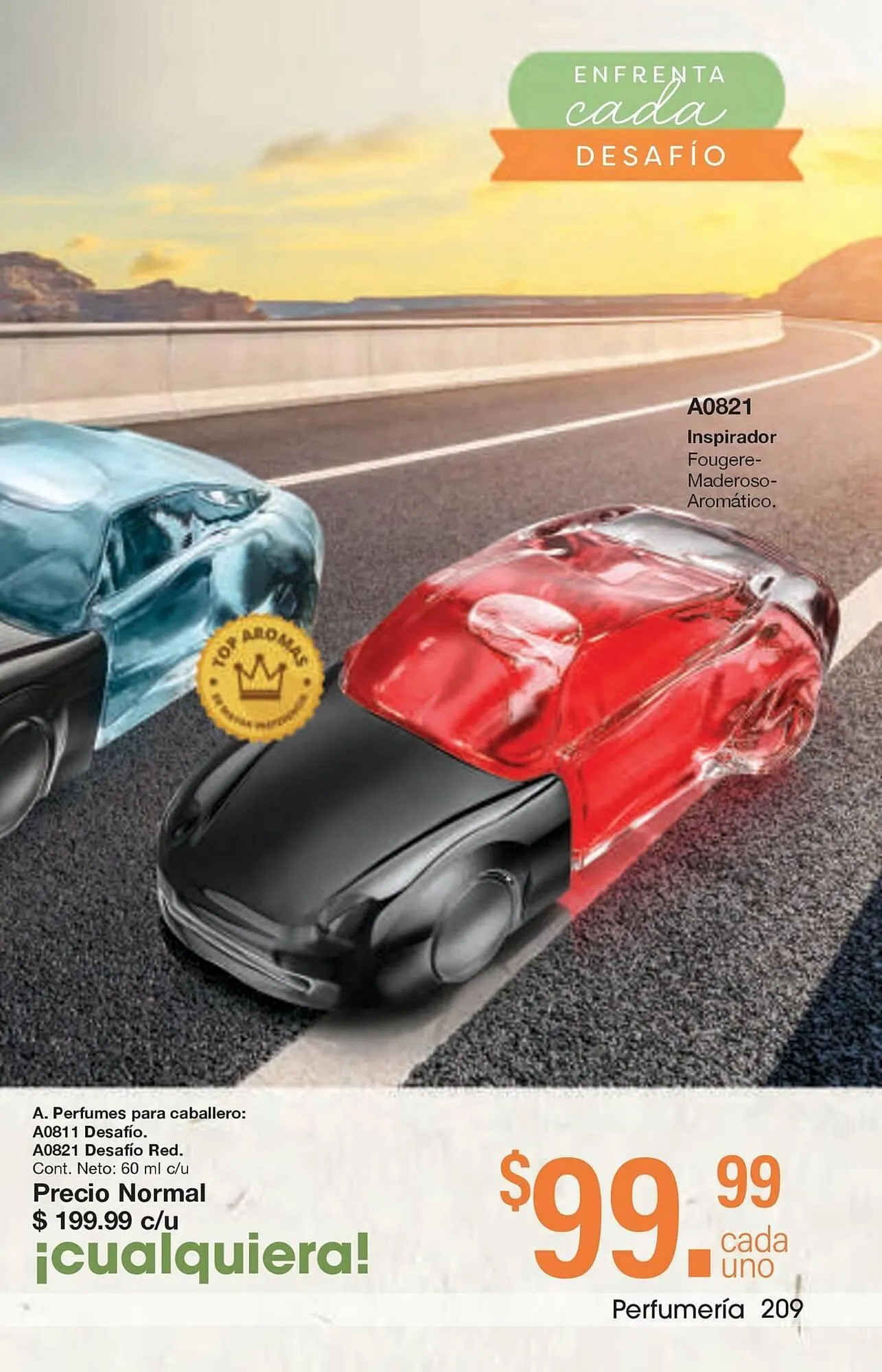 Catálogo de Catálogo Arabela 29 de enero al 19 de febrero 2026 - Pagina 173