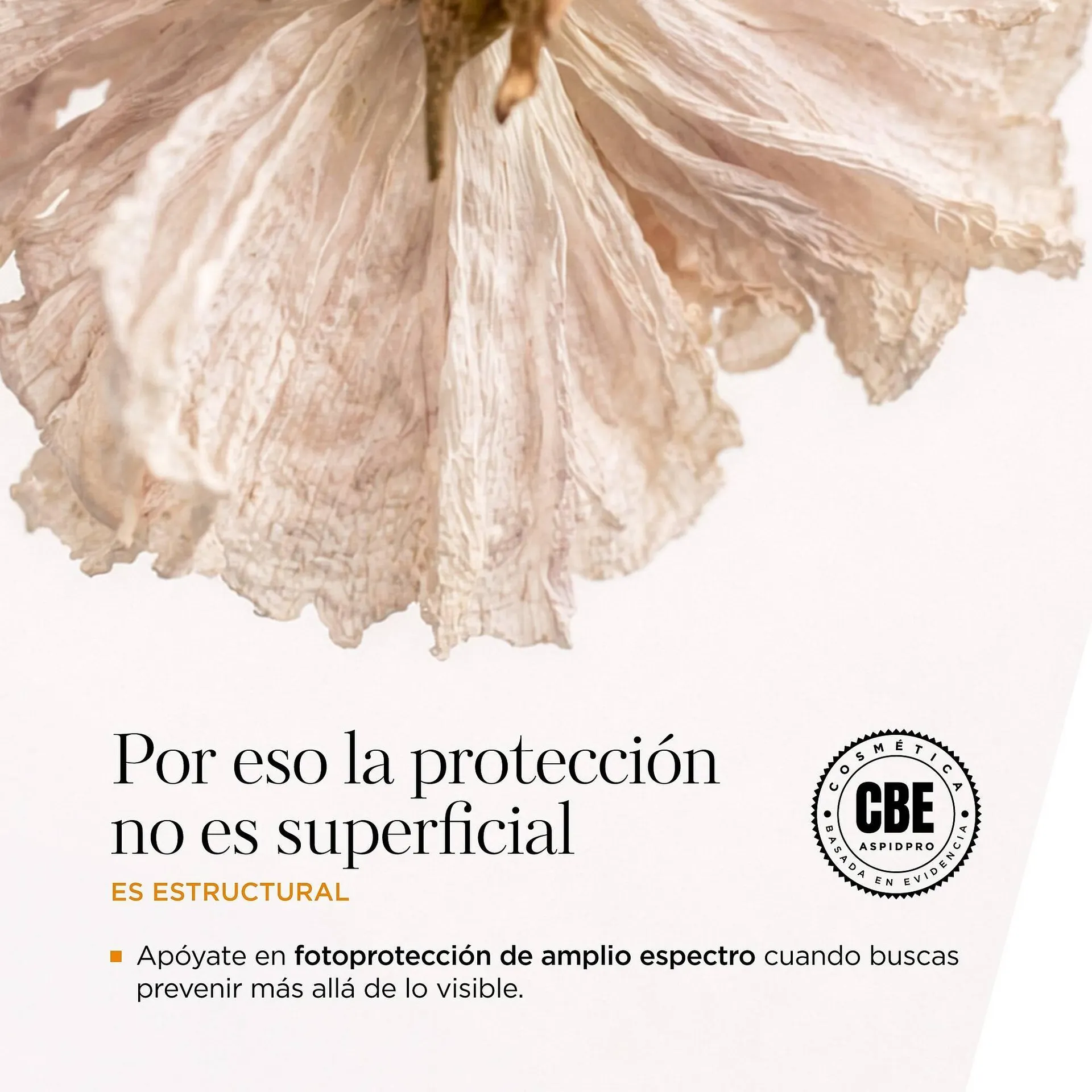 Catálogo de Catálogo AspidPro 1 de abril al 15 de abril 2026 - Pagina 5